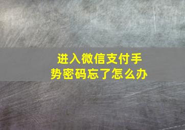 进入微信支付手势密码忘了怎么办