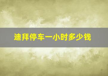 迪拜停车一小时多少钱