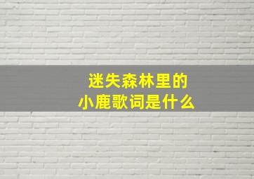 迷失森林里的小鹿歌词是什么