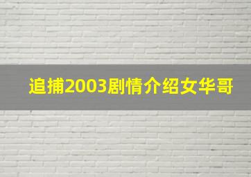 追捕2003剧情介绍女华哥