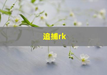 追捕rk