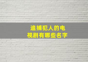 追捕犯人的电视剧有哪些名字