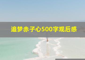 追梦赤子心500字观后感