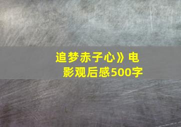 追梦赤子心》电影观后感500字