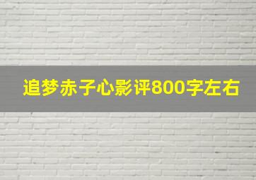 追梦赤子心影评800字左右