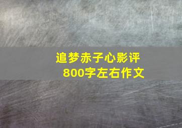 追梦赤子心影评800字左右作文