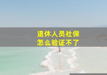 退休人员社保怎么验证不了