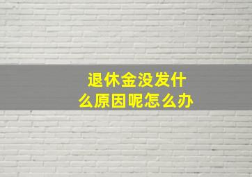 退休金没发什么原因呢怎么办