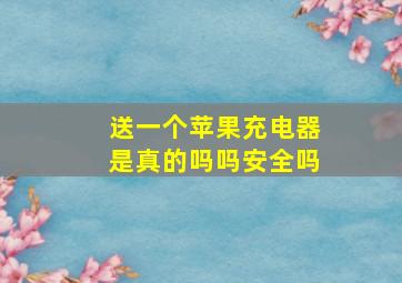 送一个苹果充电器是真的吗吗安全吗