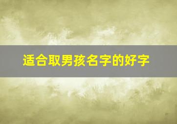 适合取男孩名字的好字