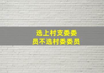 选上村支委委员不选村委委员