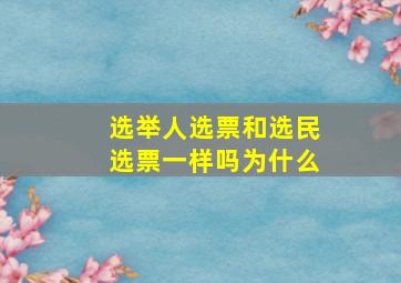 选举人选票和选民选票一样吗为什么