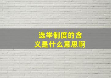 选举制度的含义是什么意思啊