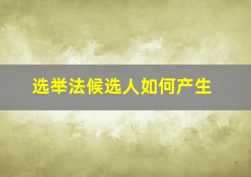 选举法候选人如何产生