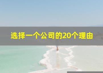 选择一个公司的20个理由