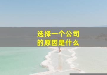 选择一个公司的原因是什么