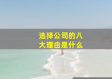 选择公司的八大理由是什么