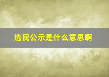 选民公示是什么意思啊