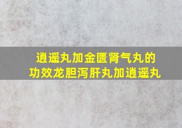 逍遥丸加金匮肾气丸的功效龙胆泻肝丸加逍遥丸