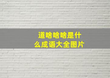 道啥啥啥是什么成语大全图片