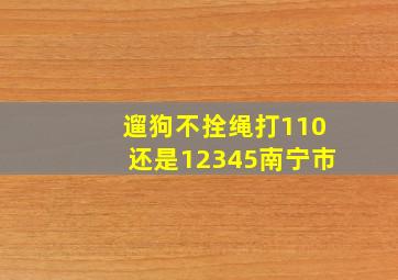 遛狗不拴绳打110还是12345南宁市