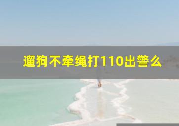 遛狗不牵绳打110出警么