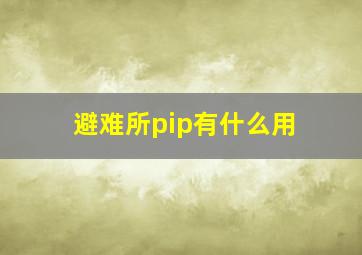 避难所pip有什么用