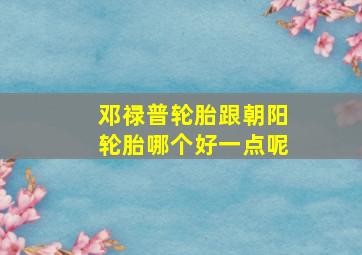 邓禄普轮胎跟朝阳轮胎哪个好一点呢