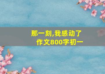 那一刻,我感动了作文800字初一