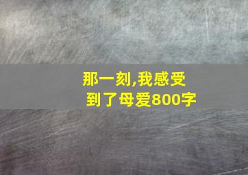 那一刻,我感受到了母爱800字