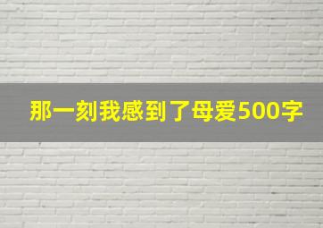 那一刻我感到了母爱500字