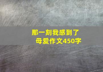 那一刻我感到了母爱作文450字