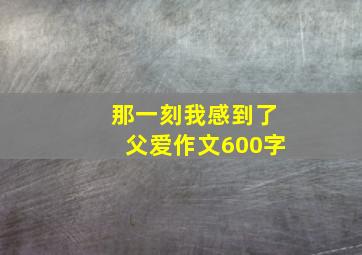 那一刻我感到了父爱作文600字