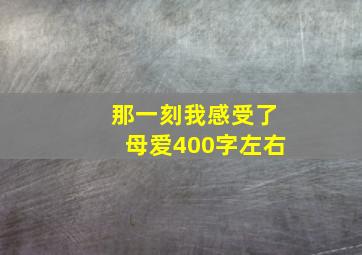 那一刻我感受了母爱400字左右