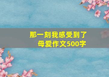 那一刻我感受到了母爱作文500字