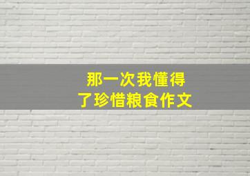 那一次我懂得了珍惜粮食作文