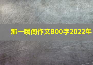 那一瞬间作文800字2022年