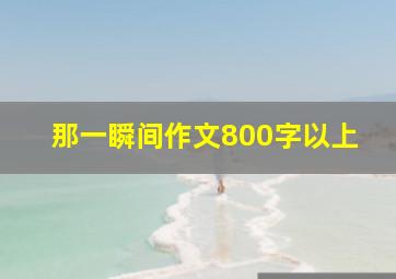 那一瞬间作文800字以上