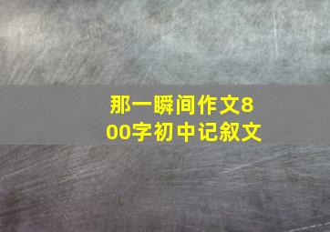 那一瞬间作文800字初中记叙文