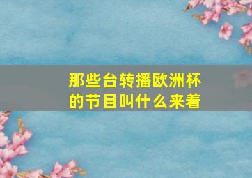 那些台转播欧洲杯的节目叫什么来着