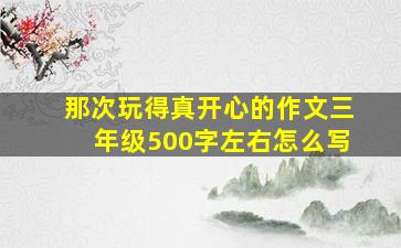 那次玩得真开心的作文三年级500字左右怎么写