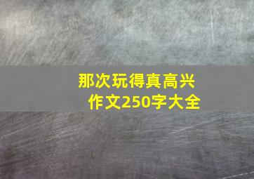 那次玩得真高兴作文250字大全