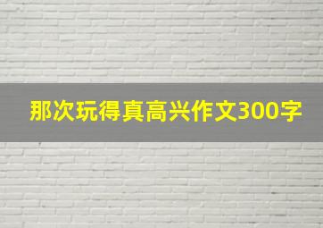 那次玩得真高兴作文300字