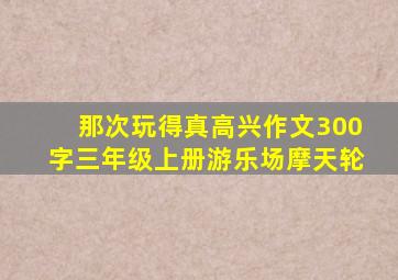 那次玩得真高兴作文300字三年级上册游乐场摩天轮