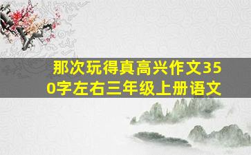 那次玩得真高兴作文350字左右三年级上册语文