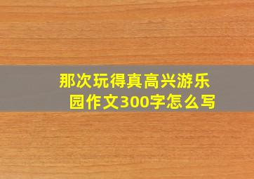 那次玩得真高兴游乐园作文300字怎么写