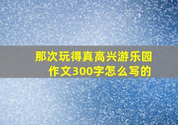 那次玩得真高兴游乐园作文300字怎么写的