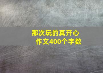 那次玩的真开心作文400个字数