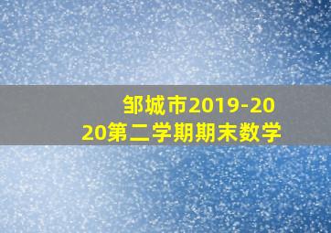 邹城市2019-2020第二学期期末数学