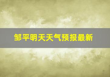 邹平明天天气预报最新